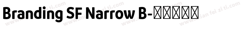 Branding SF Narrow B字体转换